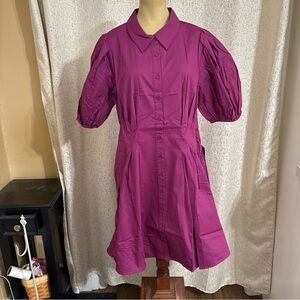 Eliza J. Magenta puff sleeve dress, nwt, size 8